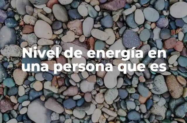Nivel de Energía en una Persona que es