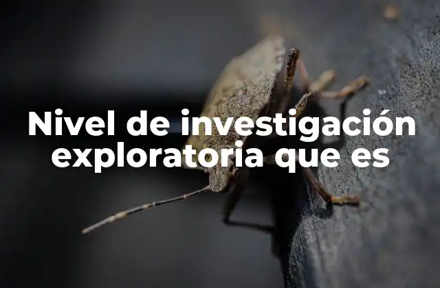 Nivel de Investigación Exploratoria que es