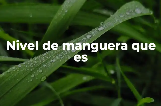 Nivel de Manguera que es 2 El nivel de manguera en el contexto de la topografía