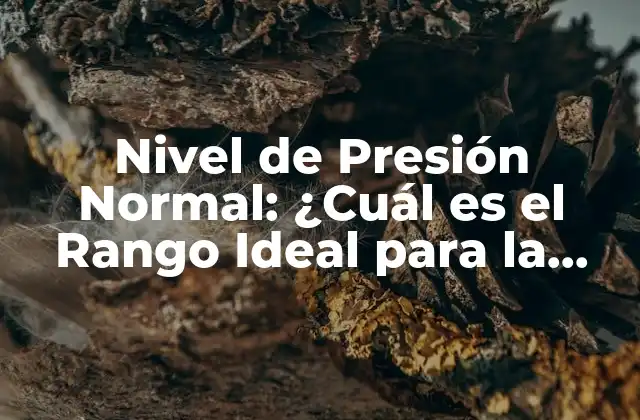 Nivel de Presión Normal: ¿cuál es el Rango Ideal para la Salud?