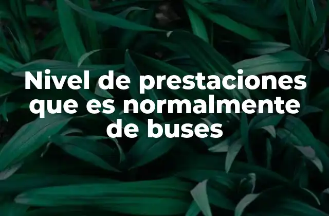 Factores que influyen en el desempeño de los buses urbanos y de largo recorrido