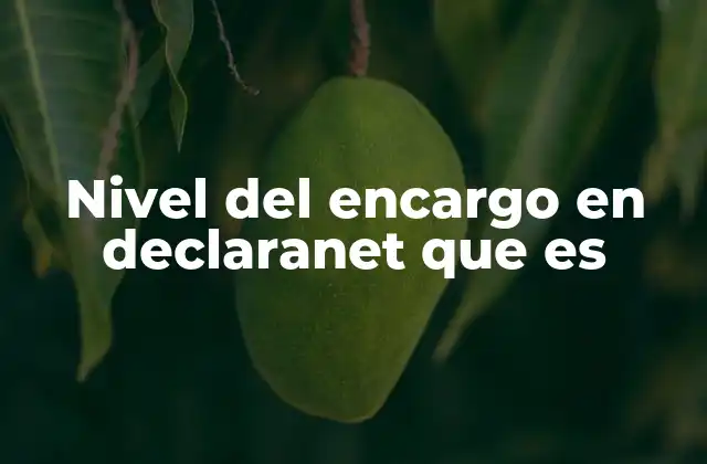 Nivel Del Encargo en Declaranet que es