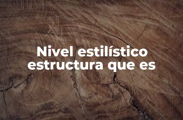 Nivel Estilístico Estructura que es