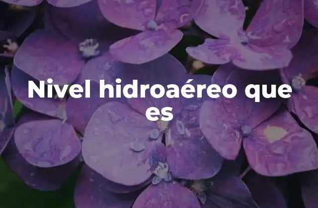 Nivel Hidroaéreo que es