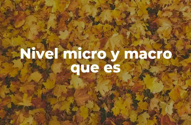 La importancia de analizar desde ambos niveles