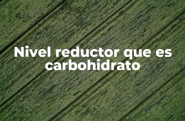 Nivel Reductor que es Carbohidrato