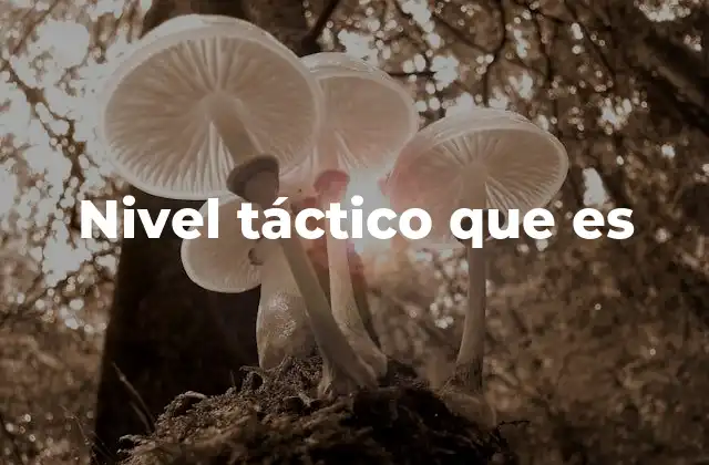 Nivel Táctico que es