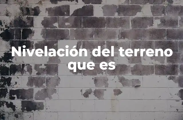 Nivelación Del Terreno que es