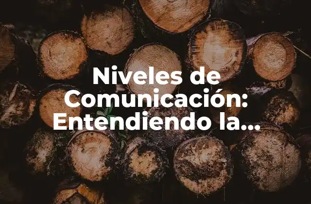 Niveles de Comunicación: Entendiendo la Estructura de la Comunicación Efectiva 2 ¿Qué son los Niveles de Comunicación?