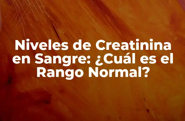 Niveles de Creatinina en Sangre: ¿cuál es el Rango Normal?