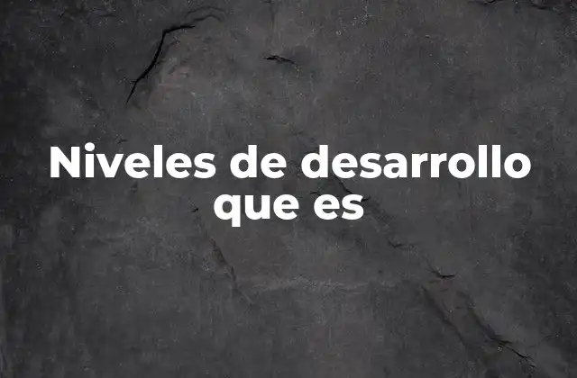 Niveles de Desarrollo que es 2 Cómo se clasifican los diferentes tipos de desarrollo
