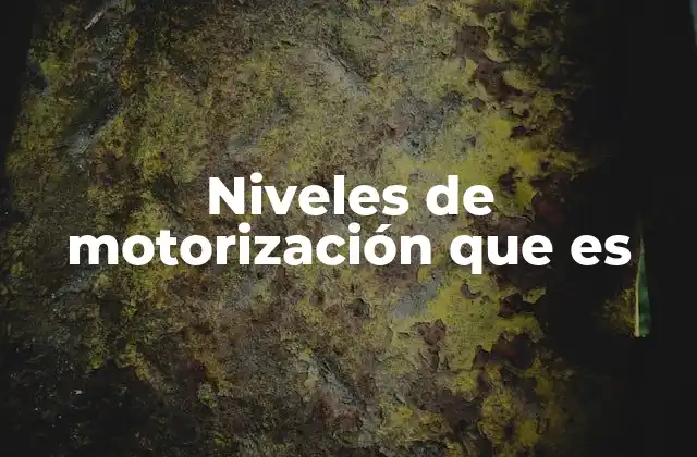 Niveles de Motorización que es