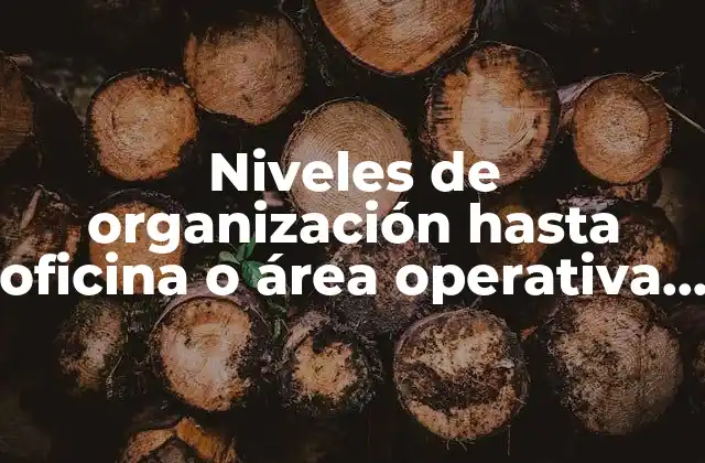 Niveles de Organización hasta Oficina o Área Operativa que es