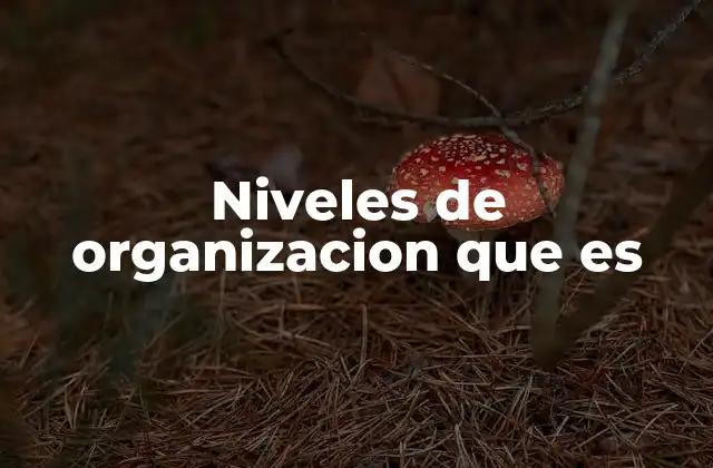 Niveles de Organizacion que es