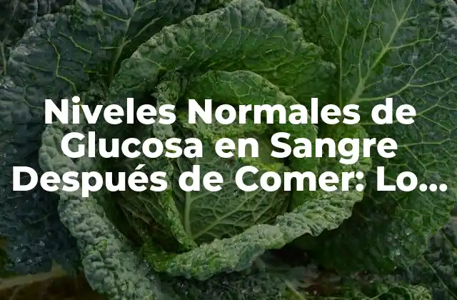 Niveles Normales de Glucosa en Sangre Después de Comer: Lo que Debes Saber