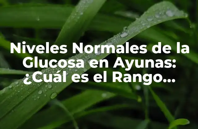 Niveles Normales de la Glucosa en Ayunas: ¿cuál es el Rango Ideal?