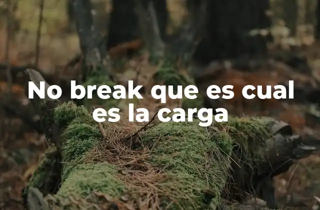 No Break que es Cual es la Carga