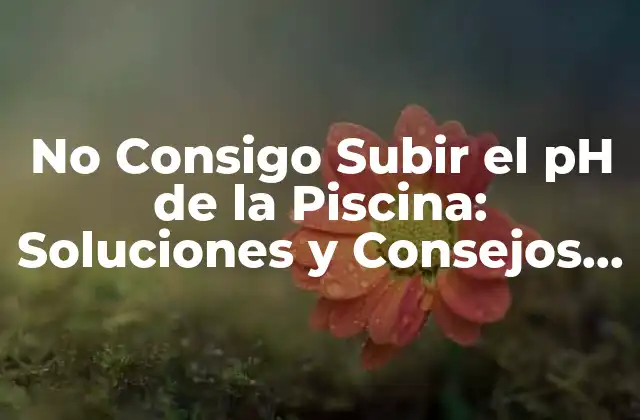 No Consigo Subir el Ph de la Piscina: Soluciones y Consejos Prácticos
