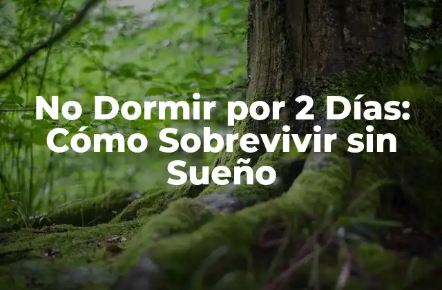 No Dormir por 2 Días: Cómo Sobrevivir sin Sueño