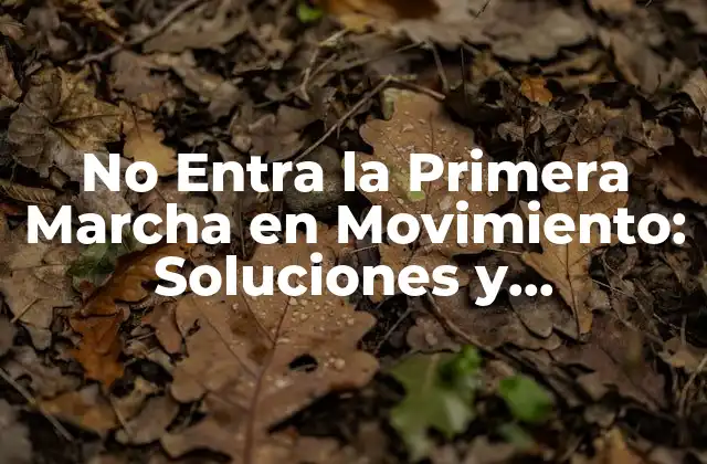 No Entra la Primera Marcha en Movimiento: Soluciones y Consecuencias
