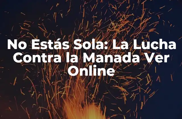 No Estás Sola: la Lucha contra la Manada Ver Online