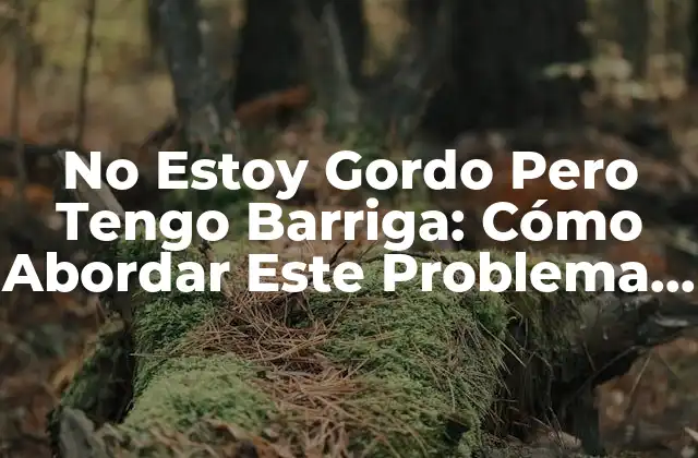 No Estoy Gordo pero Tengo Barriga: Cómo Abordar Este Problema Común