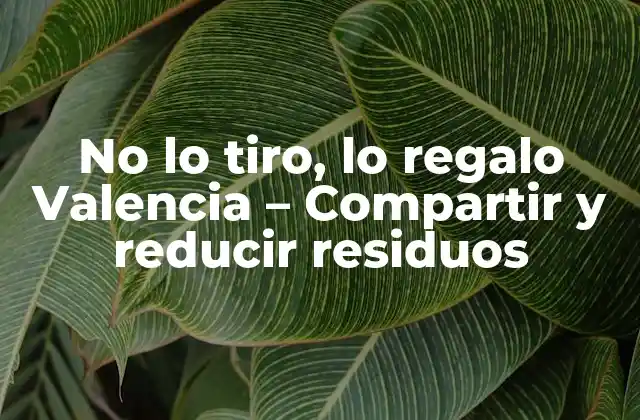 No Lo Tiro, Lo Regalo Valencia – Compartir y Reducir Residuos
