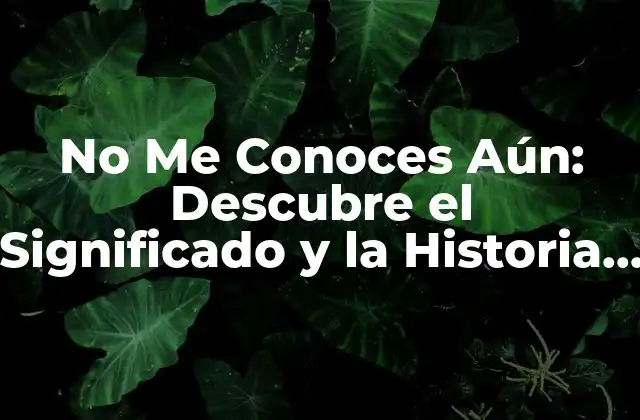 No Me Conoces Aún: Descubre el Significado y la Historia Detrás de Esta Popular Letra 2 Orígenes de No Me Conoces Aún