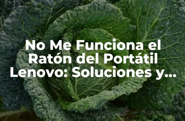 No Me Funciona el Ratón Del Portátil Lenovo: Soluciones y Consejos
