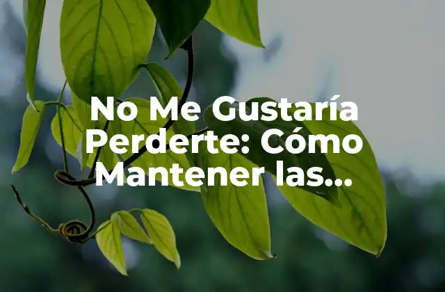 No Me Gustaría Perderte: Cómo Mantener las Relaciones Fuertes