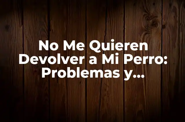No Me Quieren Devolver a Mi Perro: Problemas y Soluciones 2 Motivos por los que no te quieren devolver a tu perro
