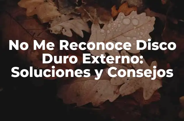 Causas del Problema de No Me Reconoce Disco Duro Externo