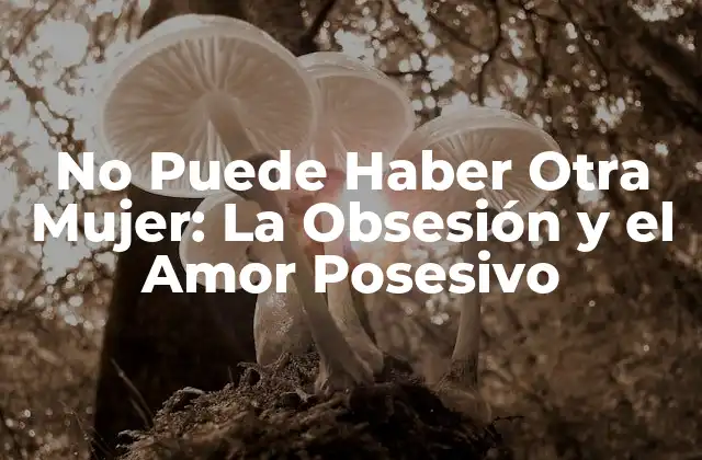 No Puede Haber Otra Mujer: la Obsesión y el Amor Posesivo
