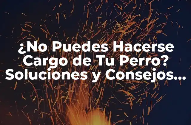 ¿no Puedes Hacerse Cargo de Tu Perro? Soluciones y Consejos para Propietarios de Mascotas