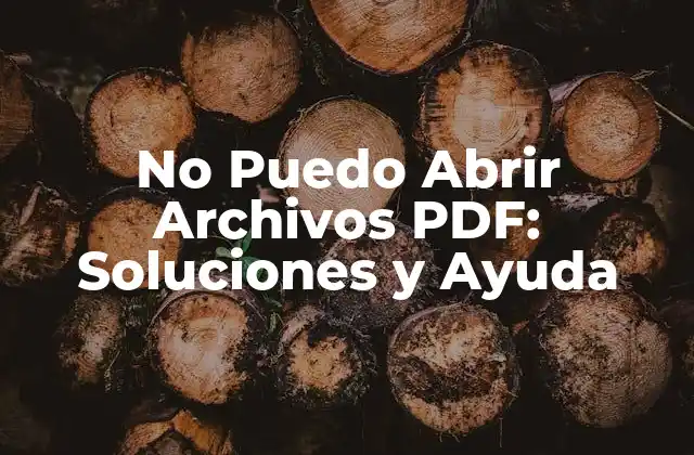 No Puedo Abrir Archivos Pdf: Soluciones y Ayuda