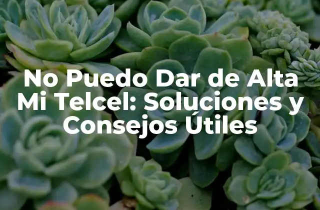 No Puedo Dar de Alta Mi Telcel: Soluciones y Consejos Útiles