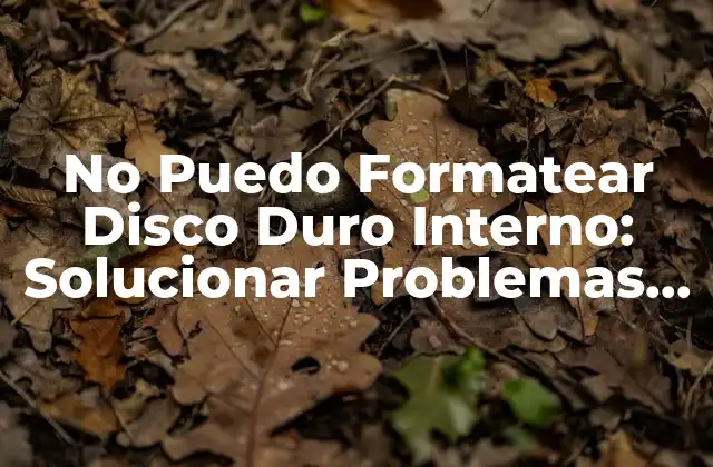 No Puedo Formatear Disco Duro Interno: Solucionar Problemas de Formateo