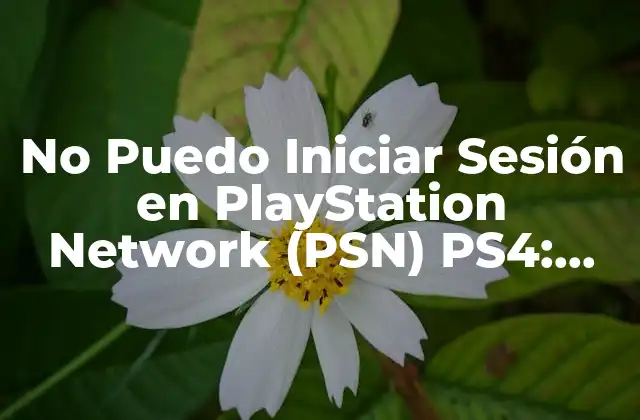 No Puedo Iniciar Sesión en Playstation Network (psn) Ps4: Soluciones y Guias