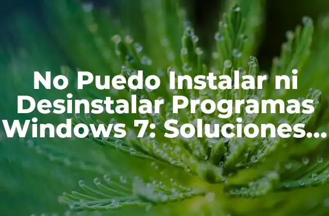 No Puedo Instalar ni Desinstalar Programas Windows 7: Soluciones y Alternativas