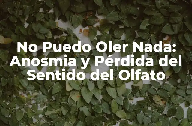 No Puedo Oler Nada: Anosmia y Pérdida Del Sentido Del Olfato