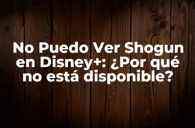 No Puedo Ver Shogun en Disney+: ¿por Qué No Está Disponible?
