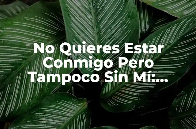 No Quieres Estar Conmigo pero Tampoco sin Mí: Análisis de una Relación Compleja
