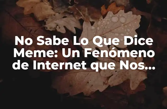 No Sabe Lo que Dice Meme: un Fenómeno de Internet que Nos Hace Reír