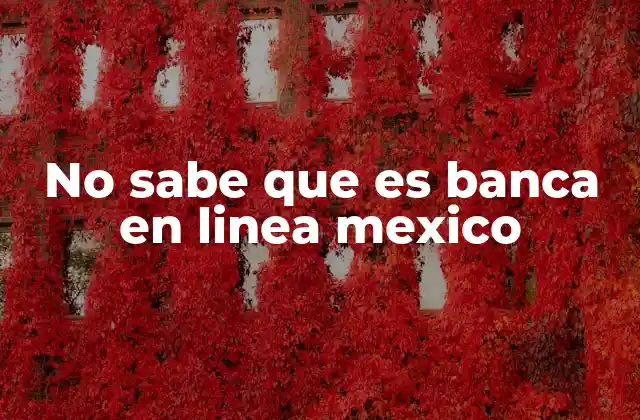 No Sabe que es Banca en Linea Mexico