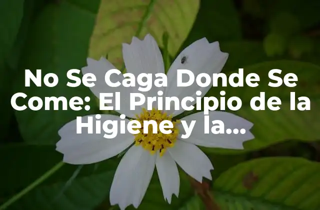 No Se Caga Donde Se Come: el Principio de la Higiene y la Responsabilidad Personal