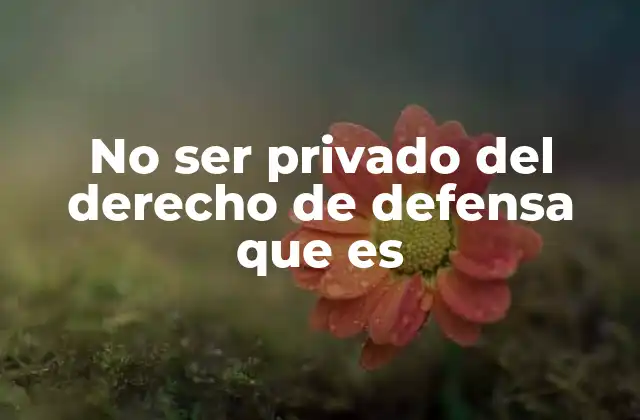 No Ser Privado Del Derecho de Defensa que es