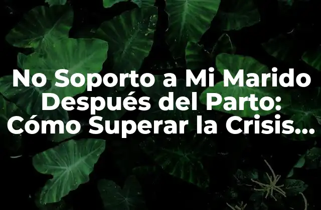 No Soporto a Mi Marido Después Del Parto: Cómo Superar la Crisis Matrimonial