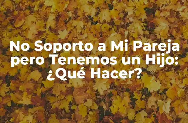 No Soporto a Mi Pareja pero Tenemos un Hijo: ¿qué Hacer?