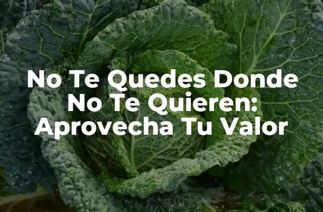 No Te Quedes Donde No Te Quieren: Aprovecha Tu Valor