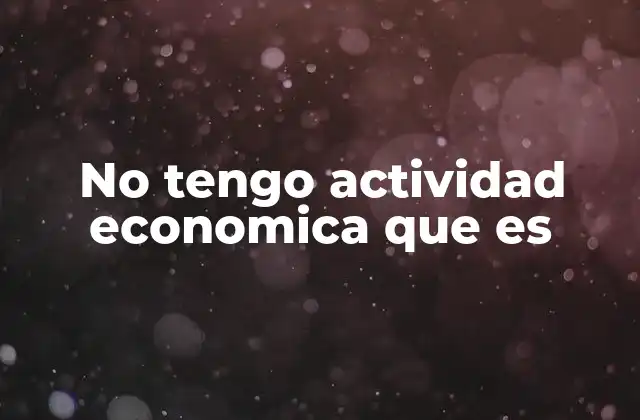 No Tengo Actividad Economica que es